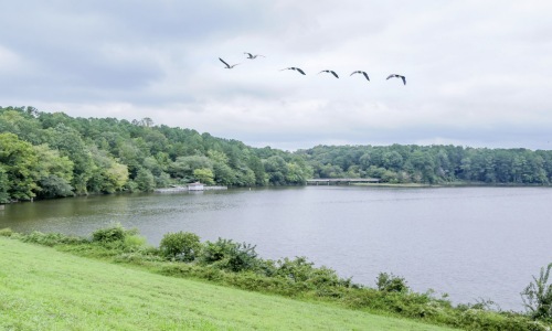 Shelley Lake Park
